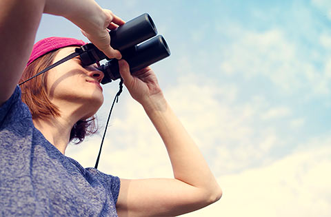 Bird monitor with binoculars looking in the sky