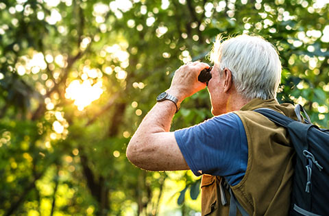 Bird monitor with binoculars