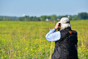 Bird monitor looking at birds