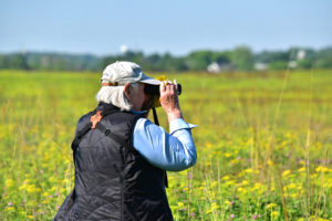 Bird monitor at Nelson Lake Marsh