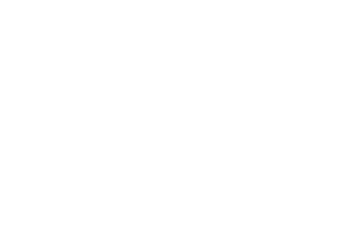 Chicago Bird Collision Monitors