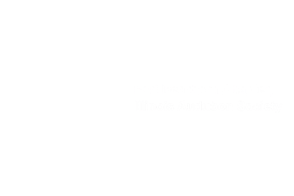 FDASv4