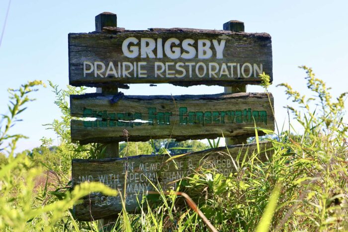 Grigsby Prairie