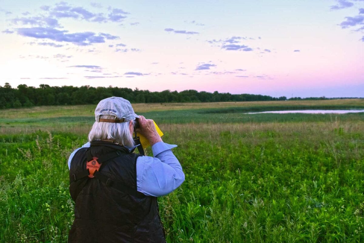 Bird Monitor at Nelson Lake