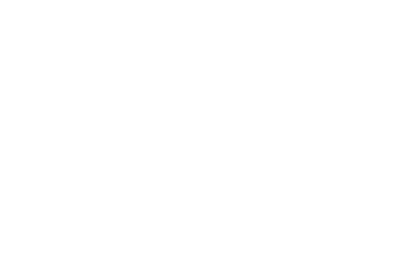 The Wetlands Initiative